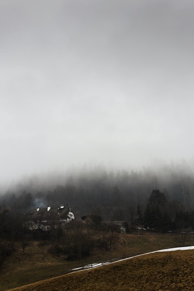 白色和棕色房屋被树木和雾气包围的高角度照片
